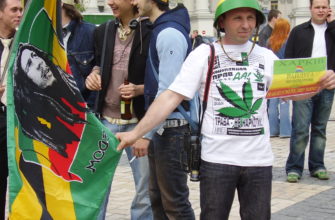 В УКРАЇНІ! КОНОПЛІ ВРЯТУЮТЬ ЛІС ВІД ВИРУБКИ, НАЦІЮ ВІД ВИМИРАННЯ! В УКРАЇНІ! КОНОПЛІ ВРЯТУЮТЬ ЛІС ВІД ВИРУБКИ, НАЦІЮ ВІД ВИМИРАННЯ!