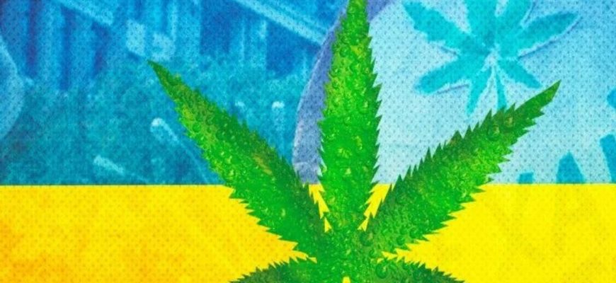 Легалізація марихуани в Україні. Петиція до президента. Відео. Легалізація марихуани в Україні. Петиція до президента. Відео.