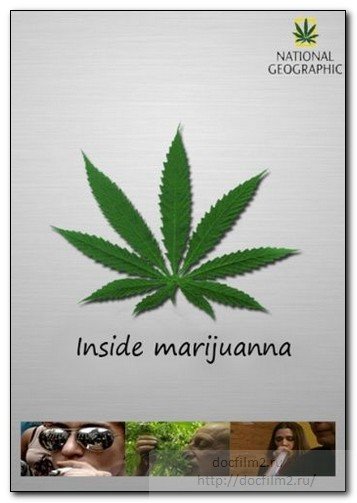Супер трава марихуана скачать браузеры типа тор hidra