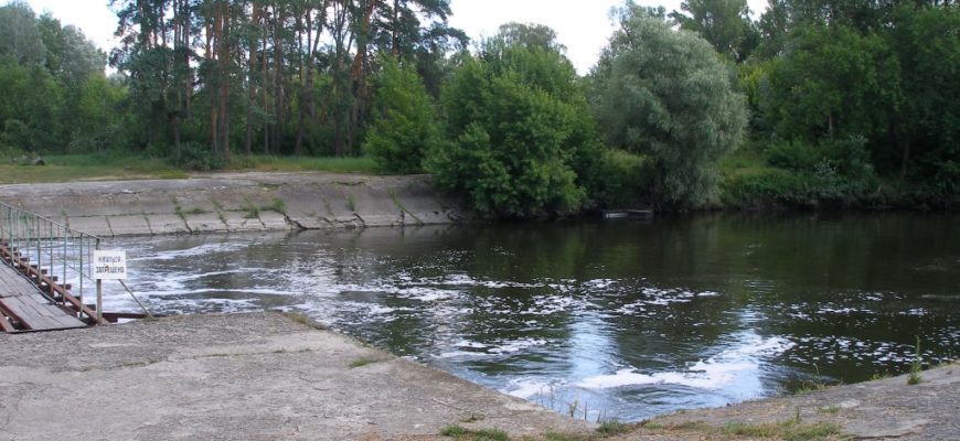 Пруд Гайдучка. Бабаи. Аренда водоёма. Пруд Гайдучка. Бабаи. Аренда водоёма.
