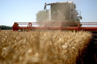 Украина станет сельскохозяйственной сверхдержавой Украина станет сельскохозяйственной сверхдержавой