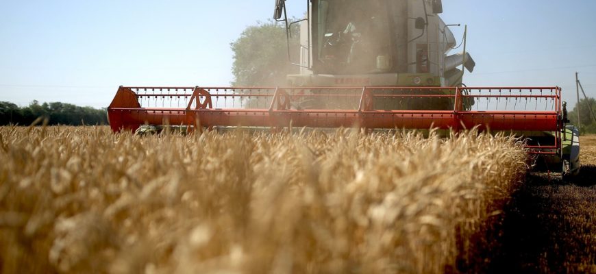 Украина станет сельскохозяйственной сверхдержавой Украина станет сельскохозяйственной сверхдержавой