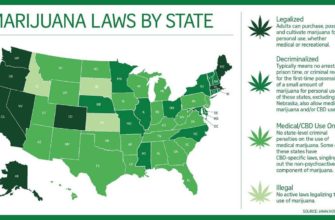 В Америке легализовали коноплю В Америке легализовали коноплю