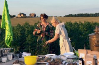 Видео. Рецепты из конопли. Дешево и сердито. Видео. Рецепты из конопли. Дешево и сердито.