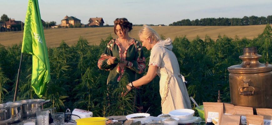 Видео. Рецепты из конопли. Дешево и сердито. Видео. Рецепты из конопли. Дешево и сердито.